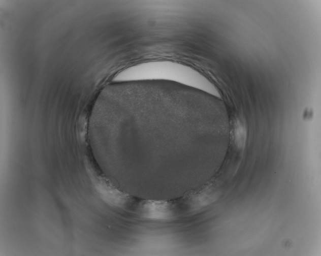 X0000091330767200709071157