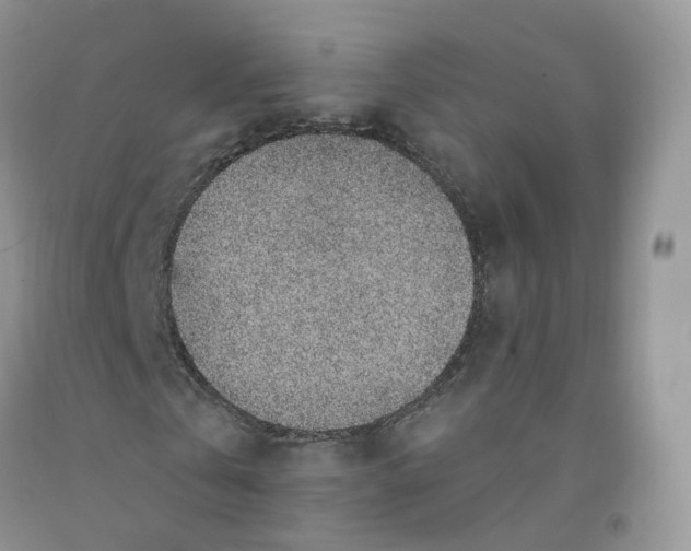 X0000091330769200709071156