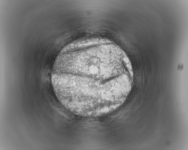 X0000091330770200709071156