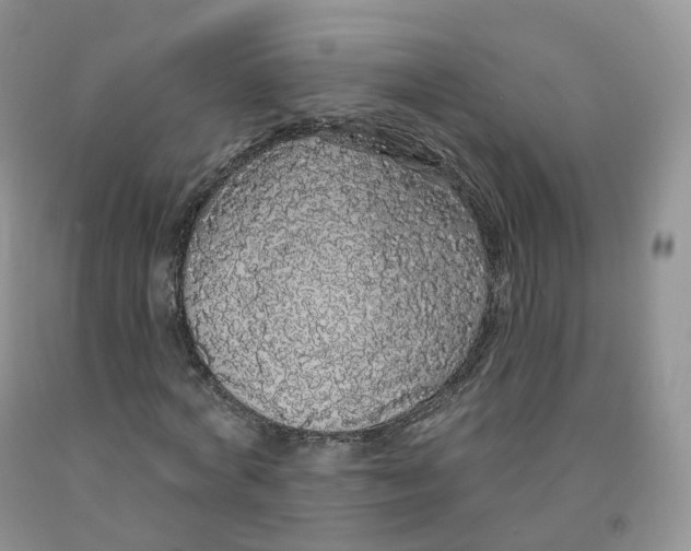 X0000091330772200709071156