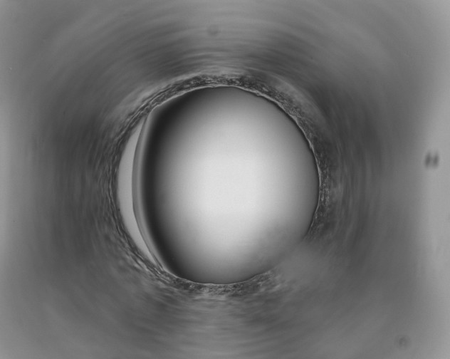 X0000091330773200709071156