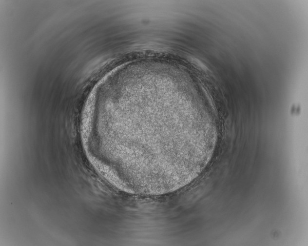 X0000091330774200709071156