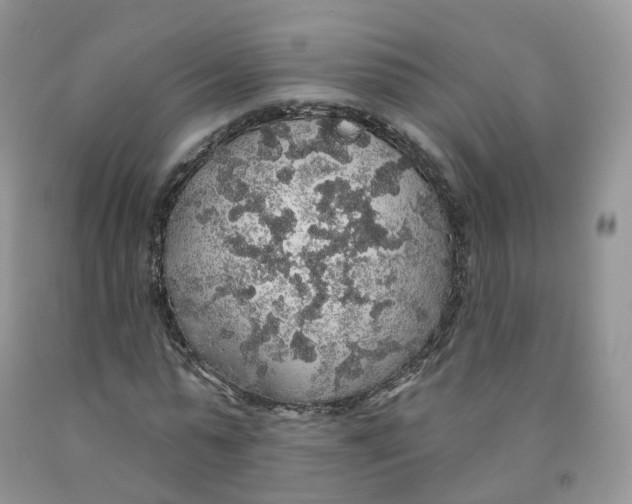 X0000091330775200709071156