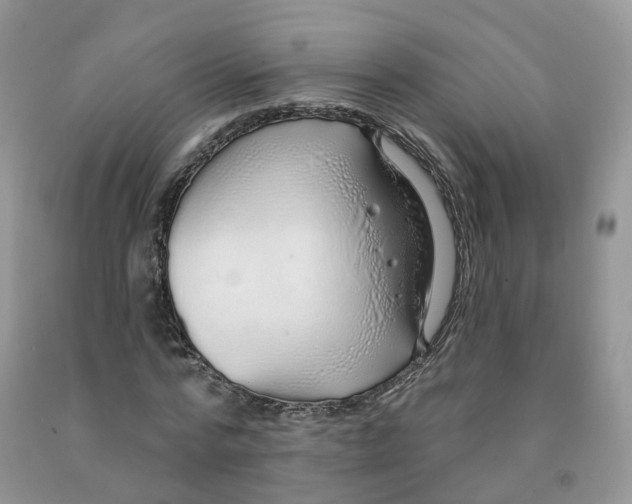 X0000091330776200709071156