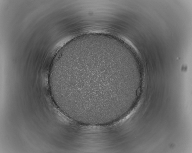 X0000091330777200709071156