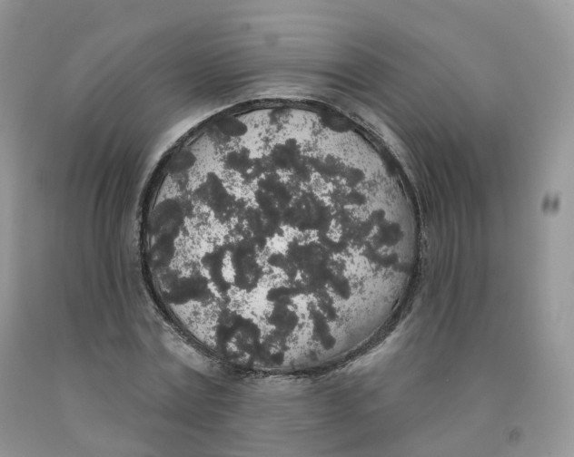 X0000091330779200709071156