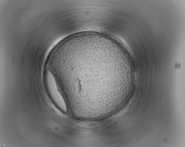 X0000091330780200709071156