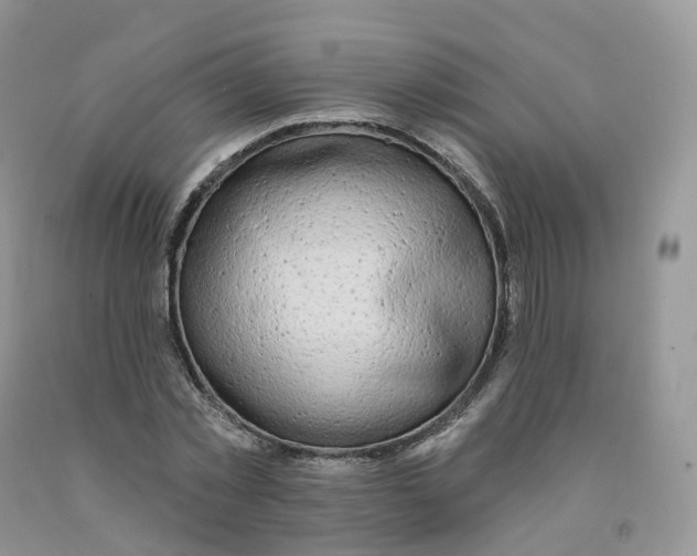 X0000091330781200709071156