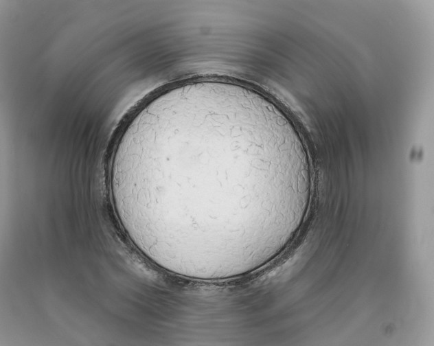 X0000091330782200709071156