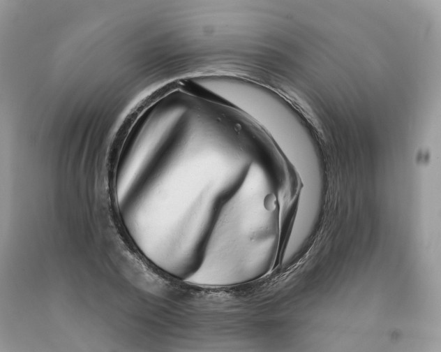 X0000091330784200709071156