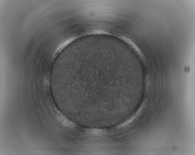X0000091330785200709071156