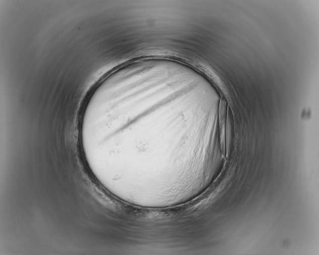 X0000091330787200709071156