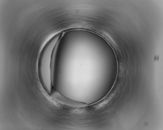 X0000091330788200709071156