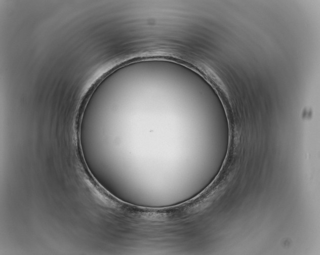 X0000091330789200709071156