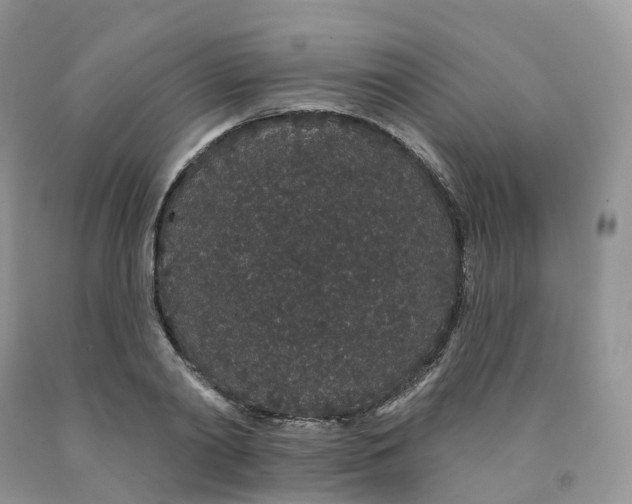 X0000091330790200709071156