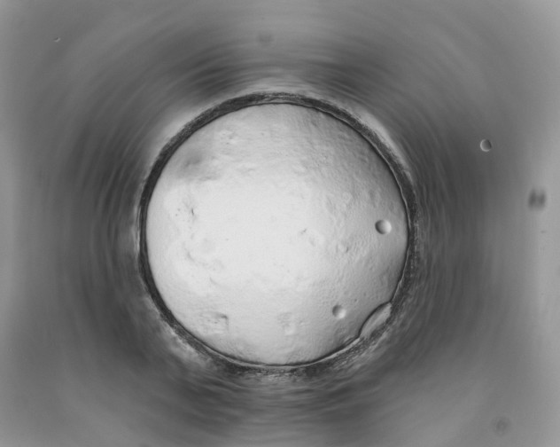 X0000091330791200709071156
