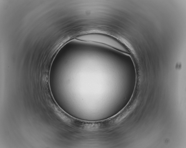 X0000091330793200709071156