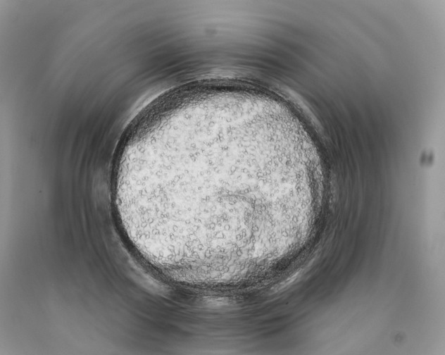 X0000091330794200709071156