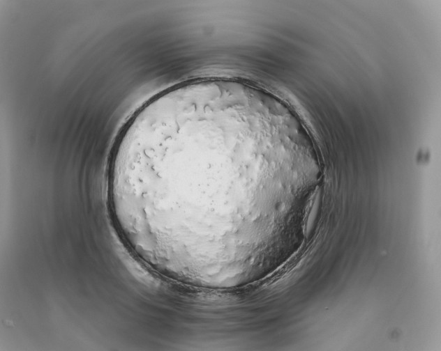 X0000091330795200709071156