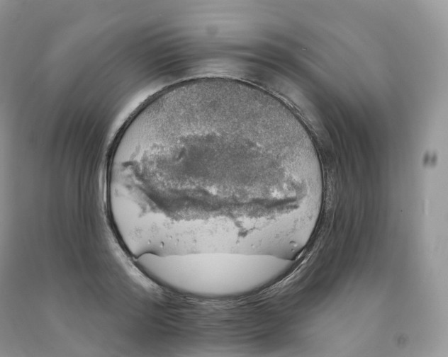 X0000091330796200709071156