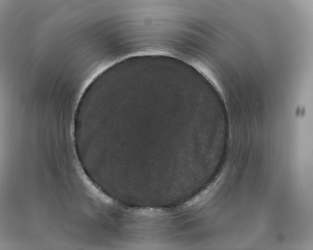 X0000091330797200709071156