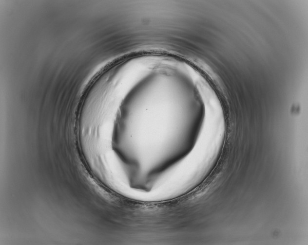 X0000091330799200709071156