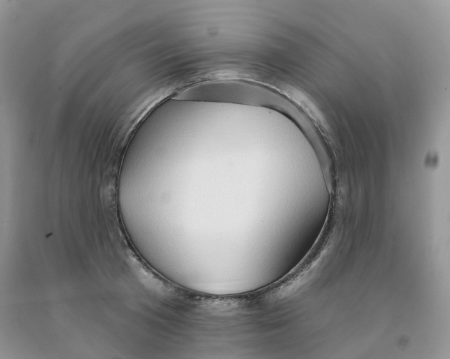 X0000091330801200709071156