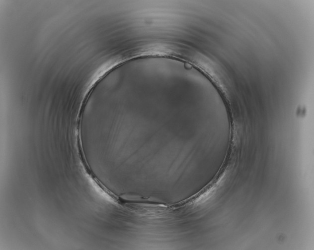 X0000091330802200709071156