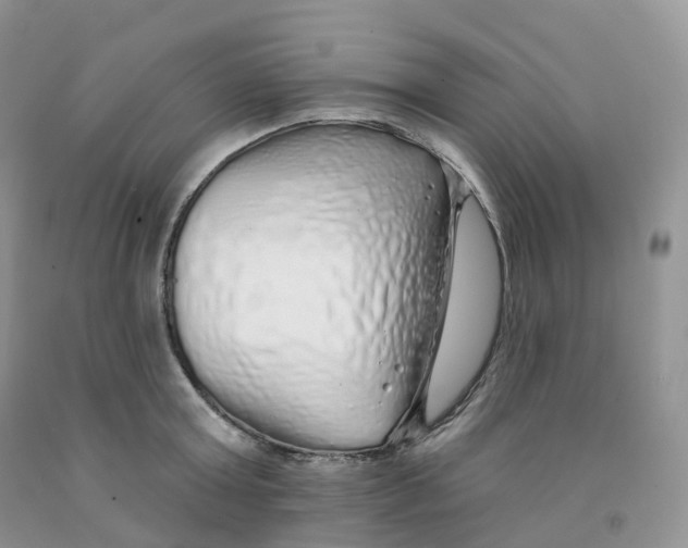 X0000091330803200709071156