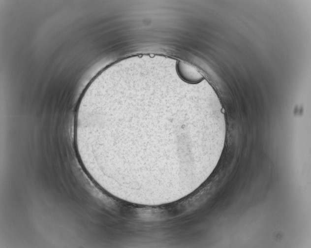 X0000091330804200709071155