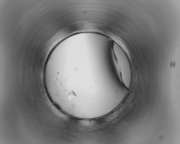 X0000091330805200709071155