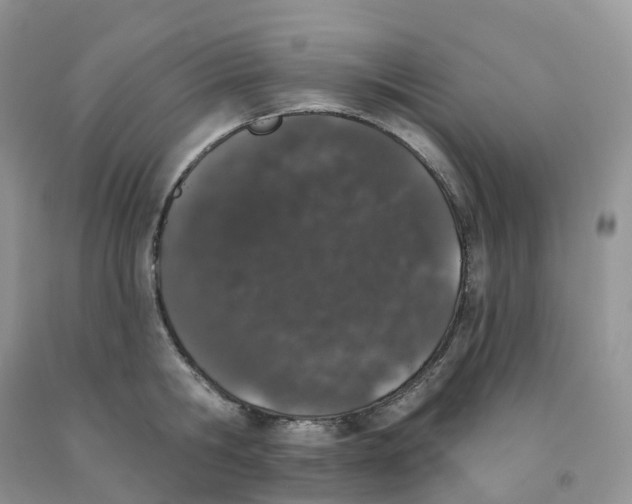 X0000091330806200709071155