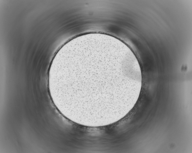 X0000091330807200709071155
