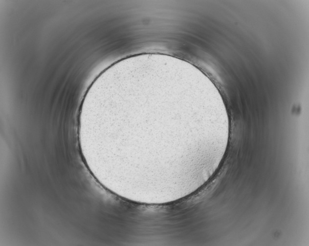 X0000091330808200709071155