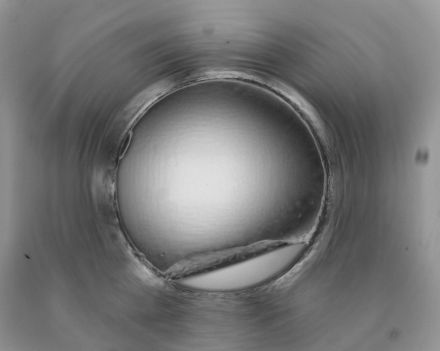X0000091330809200709071155