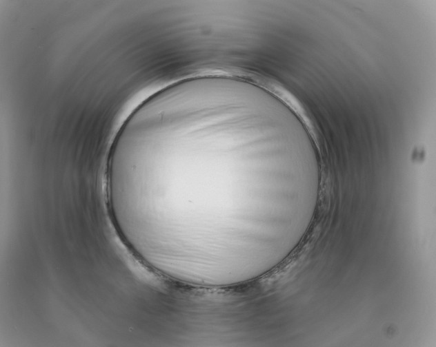 X0000091330811200709071155