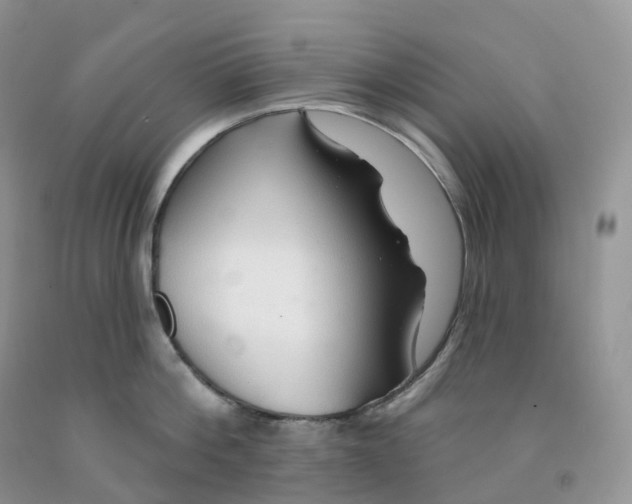 X0000091330812200709071155