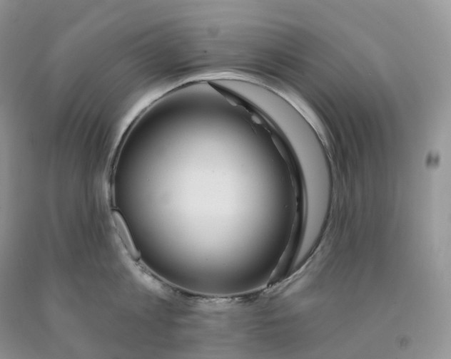X0000091330813200709071155