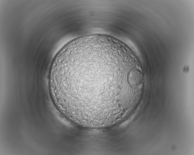 X0000091330814200709071155