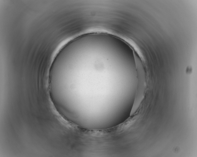 X0000091330815200709071155