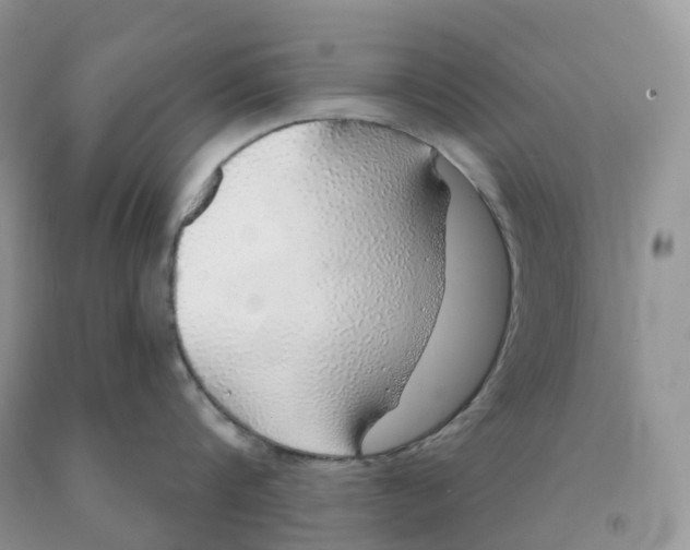 X0000091330816200709071155