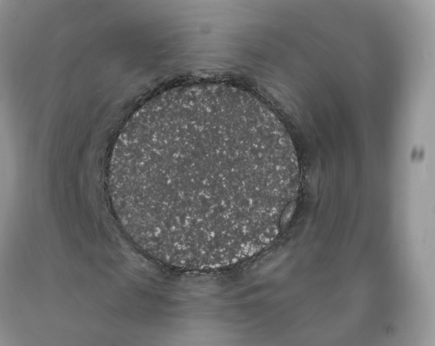 X0000091330817200709071155
