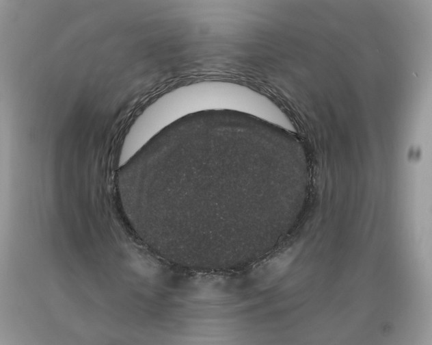 X0000091330818200709071155