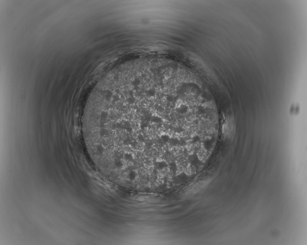 X0000091330819200709071155