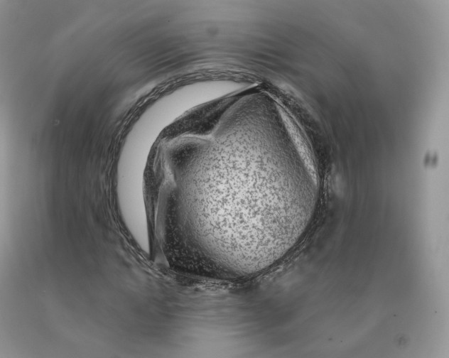 X0000091330822200709071155