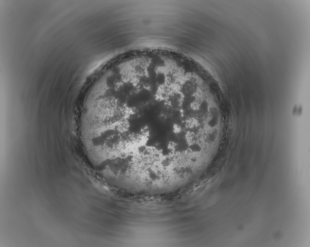 X0000091330823200709071155