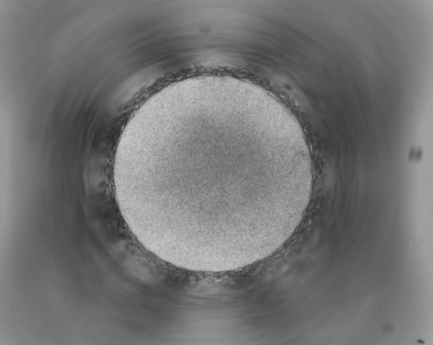 X0000091330824200709071155