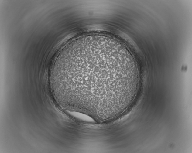 X0000091330825200709071155