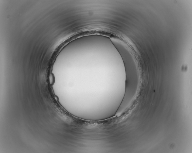 X0000091330826200709071155