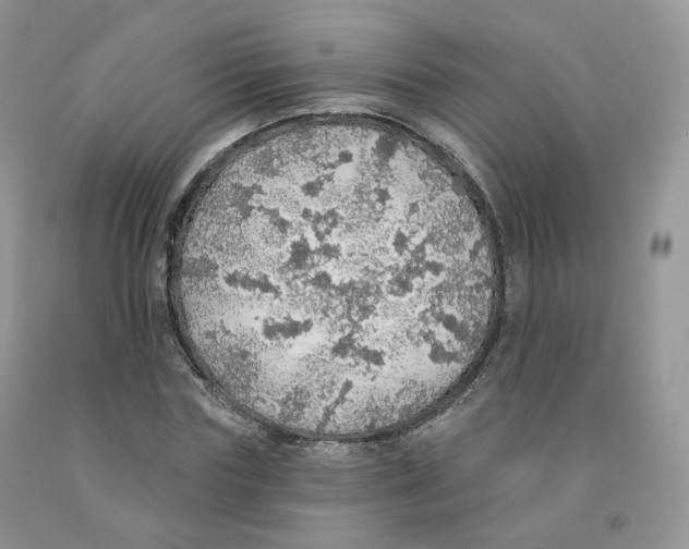 X0000091330827200709071155